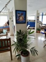 3-Day Fishing/Spearfishing Expedition + Oceanfront Luxury Stay – Taboga - Image 25