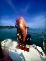 3-Day Fishing/Spearfishing Expedition + Oceanfront Luxury Stay – Taboga - Image 5