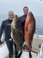 4 Full Fishing/Spearfishing Days | 5 Nights Oceanfront Luxury – Hacienda del Mar - Image 22