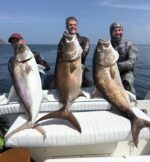 4 Full Fishing/Spearfishing Days | 5 Nights Oceanfront Luxury – Hacienda del Mar - Image 38