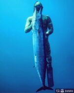 4 Full Fishing/Spearfishing Days | 5 Nights Oceanfront Luxury – Hacienda del Mar - Image 12