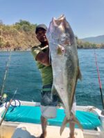 4 Full Fishing/Spearfishing Days | 5 Nights Oceanfront Luxury – Hacienda del Mar - Image 33