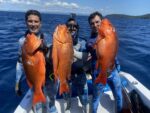 The Bluewater Hunter Expedition | 3 Full Fishing/Spearfishing Days + 4 Nights – Mariato - Image 8
